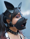 Leather Collar With Spikes