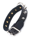 Leather Collar With Spikes